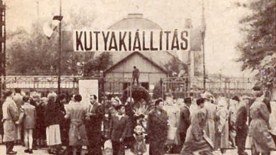 10.-Kutyakiállítás-az-állatkertben-1958.jpg