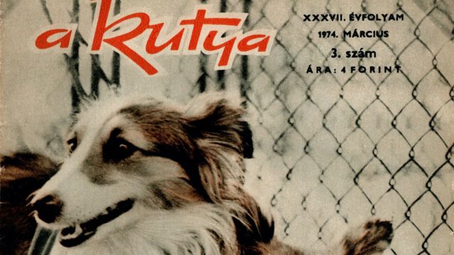 15_kÇp_A-kutya-1974.-m†rcius-1.jpg