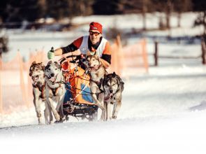 Hóval vagy anélkül: a kutyaszánhajtás