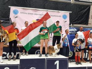 Nem a kor a lényeg, hanem a kitartó munka! Élmények a Junior és Senior Agility Világbajnokságról