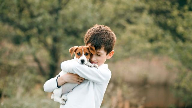 tender-portrait-child-boy-hugging-loving-puppy-jack-russell-terrier-outdoors.jpg